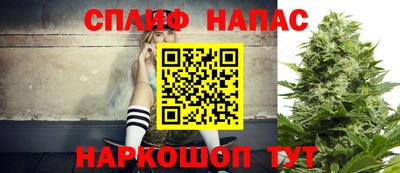 спиды Пугачёв