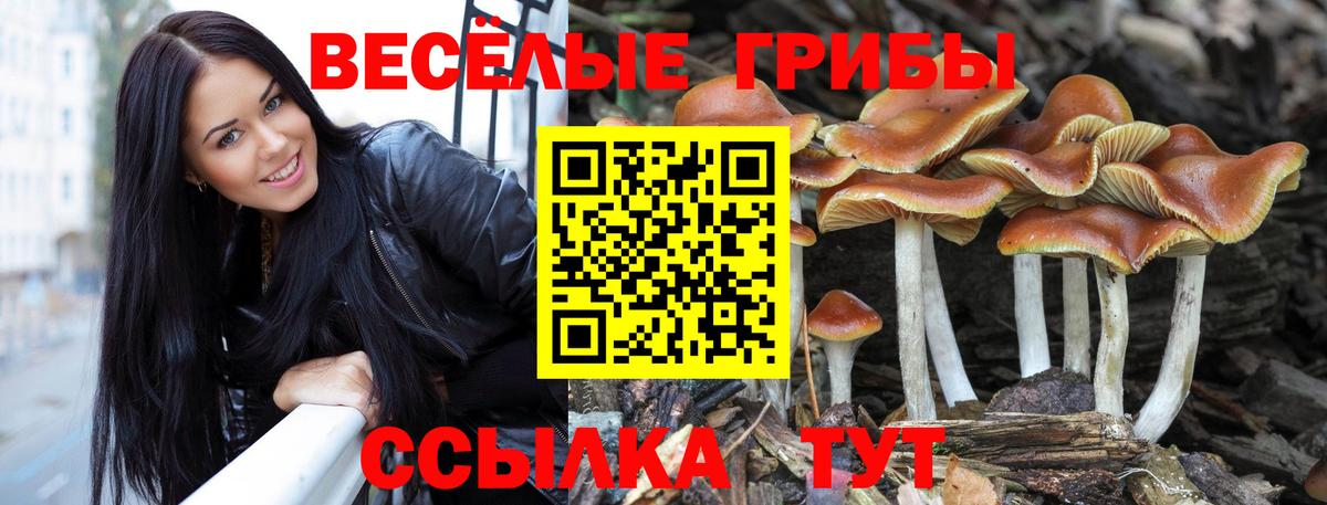 Рубцовск  Галлюциногенные грибы GOLDEN TEACHER  Вход с VPN 